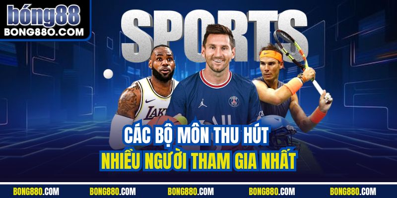 Các bộ môn thu hút nhiều người tham gia nhất