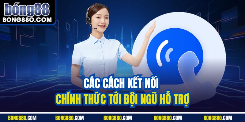 Các cách kết nối chính thức tới đội ngũ hỗ trợ