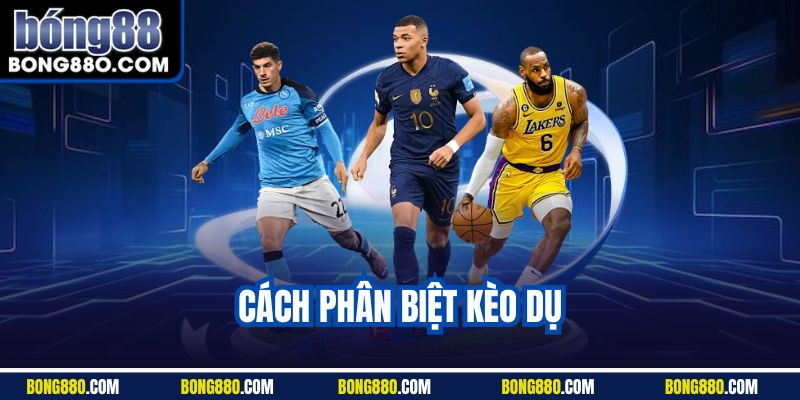 Cách phân biệt kèo dụ bong88