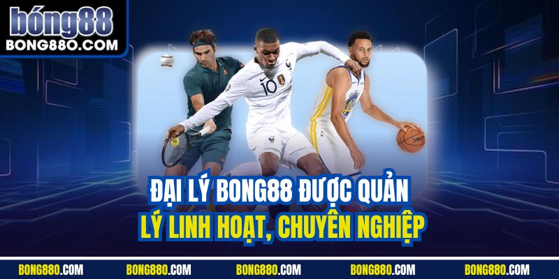 Đại lý Bong88 được quản lý linh hoạt, chuyên nghiệp