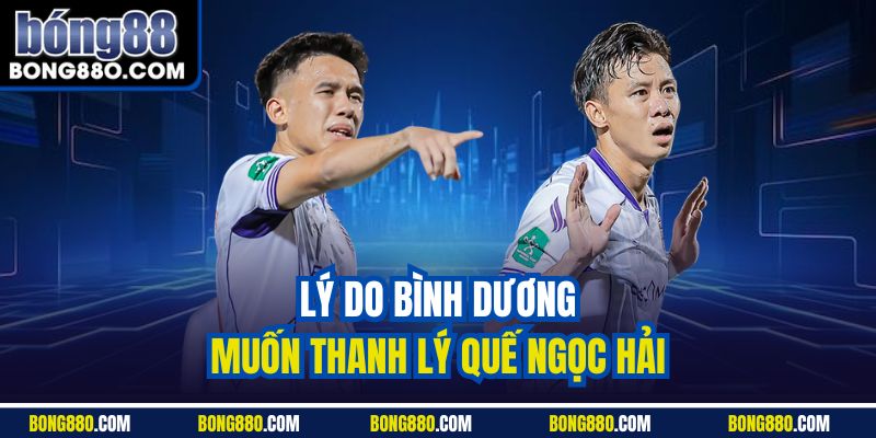 Lý do Bình Dương muốn thanh lý Quế Ngọc Hải